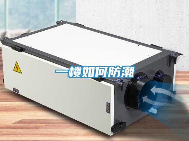 一楼如何防潮