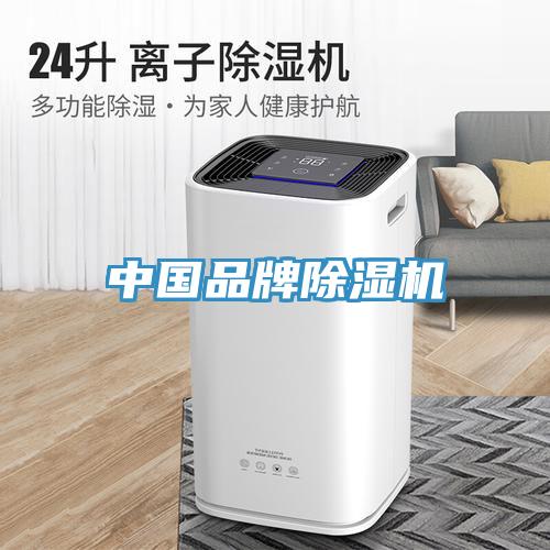 中国品牌除湿机