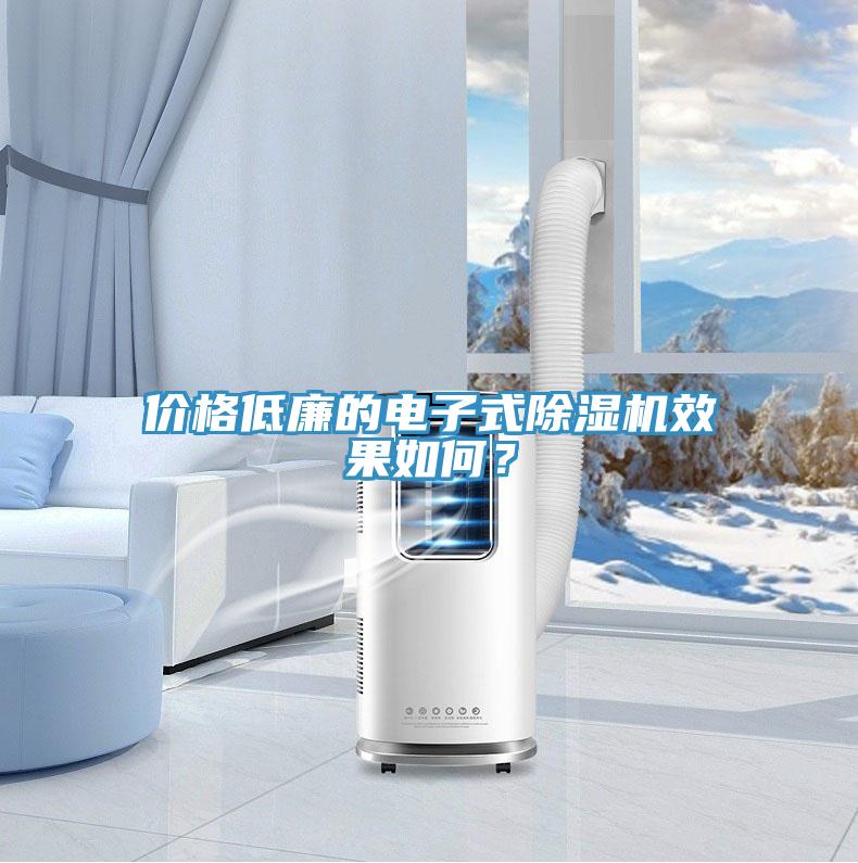 价格低廉的电子式除湿机效果如何?
