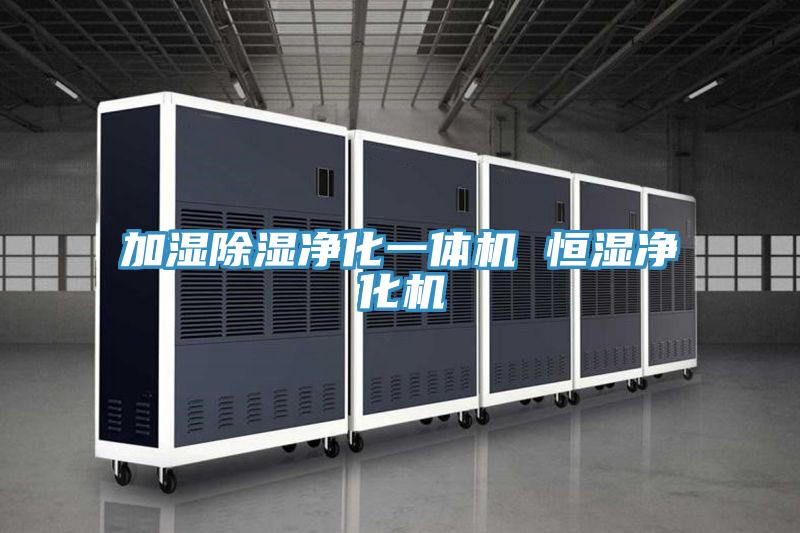 加湿除湿净化一体机 恒湿净化机