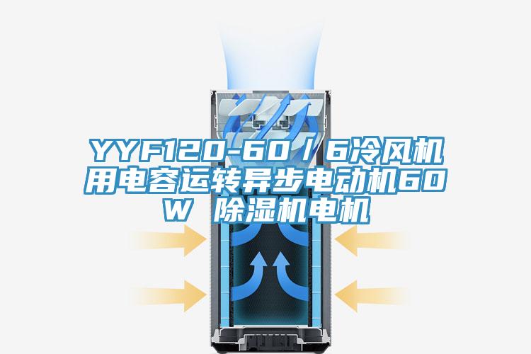 YYF120-60／6冷风机用电容运转异步电动机60W 除湿机电机