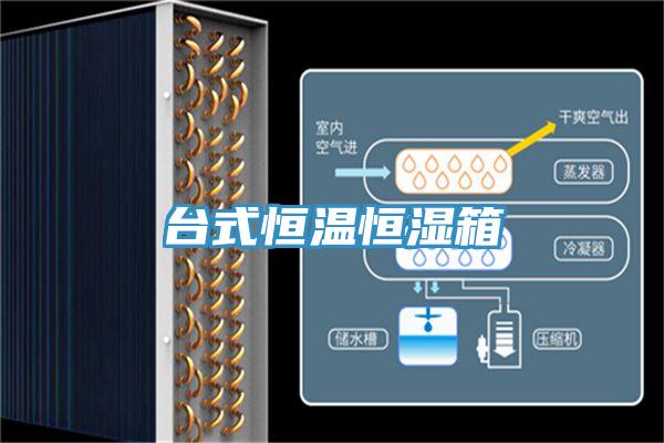 台式恒温恒湿箱