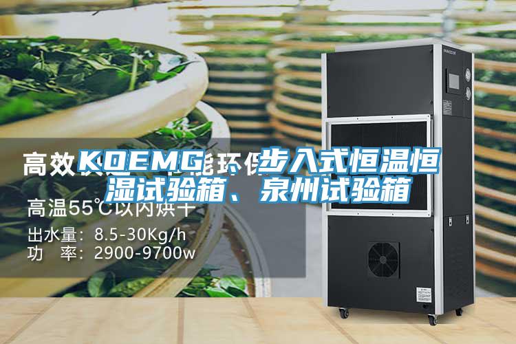 KOEMG 、步入式恒温恒湿试验箱、泉州试验箱