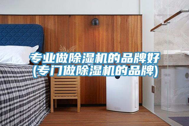 专业做除湿机的品牌好(专门做除湿机的品牌)