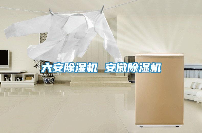 六安除湿机 安徽除湿机