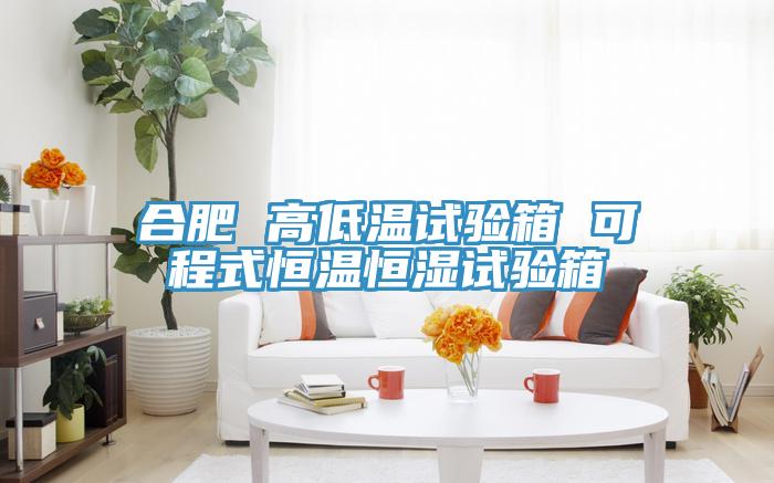 合肥 高低温试验箱 可程式恒温恒湿试验箱