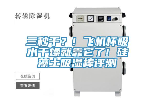 三秒干？! 飞机杯吸水干燥就靠它了! 硅藻土吸湿棒评测