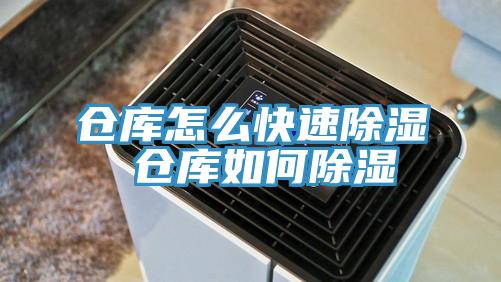 仓库怎么快速除湿 仓库如何除湿