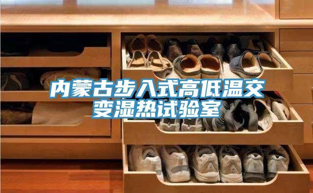 内蒙古步入式高低温交变湿热试验室