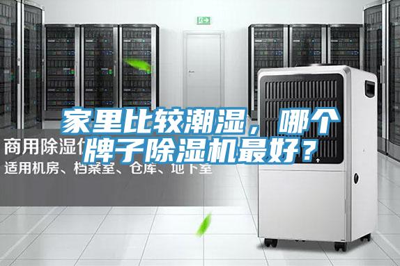 家里比较潮湿，哪个牌子除湿机最好？