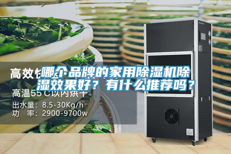 哪个品牌的家用除湿机除湿效果好？有什么推荐吗？