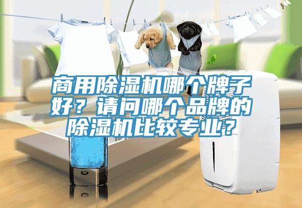 商用除湿机哪个牌子好？请问哪个品牌的除湿机比较专业？