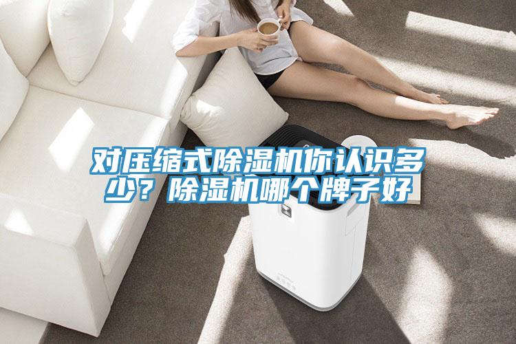 对压缩式除湿机你认识多少？除湿机哪个牌子好