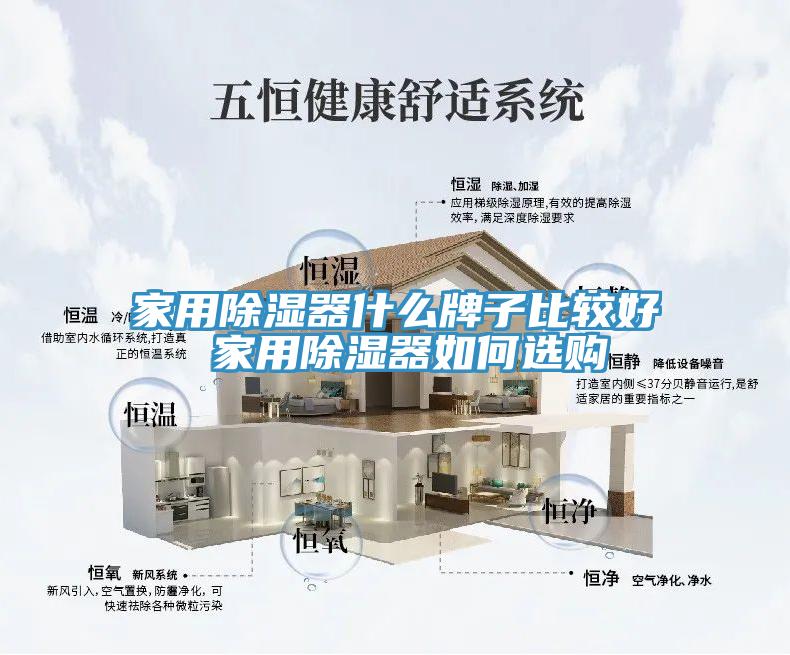 家用除湿器什么牌子比较好 家用除湿器如何选购