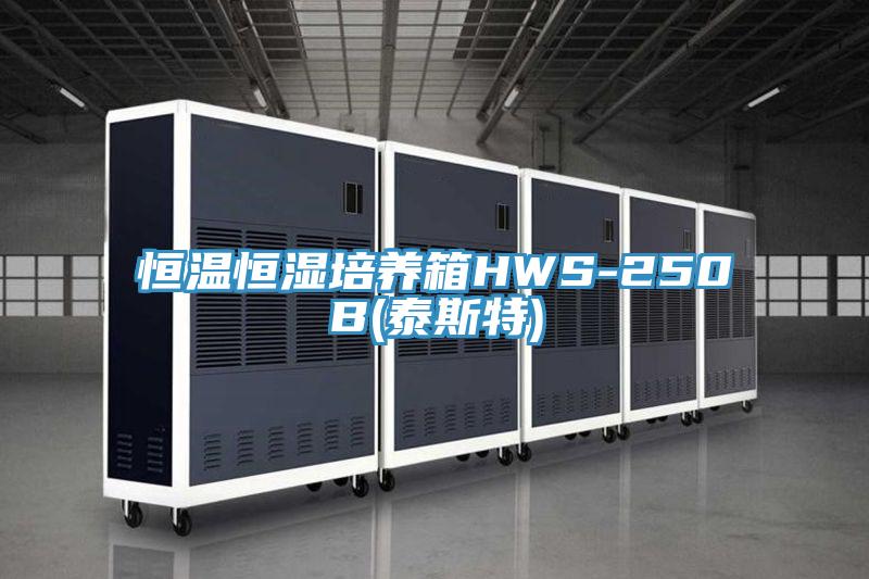 恒温恒湿培养箱HWS-250B(泰斯特)