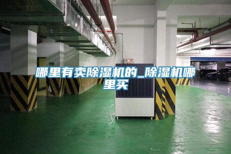 哪里有卖除湿机的_除湿机哪里买