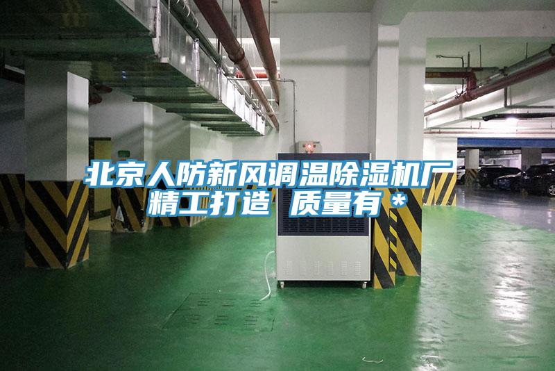 北京人防新风调温除湿机厂 精工打造 质量有＊