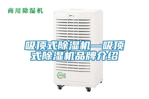 吸顶式除湿机—吸顶式除湿机品牌介绍