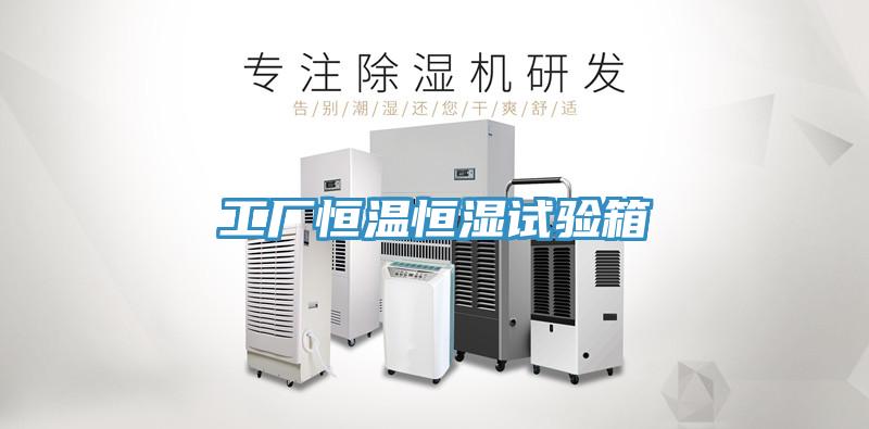 工厂恒温恒湿试验箱