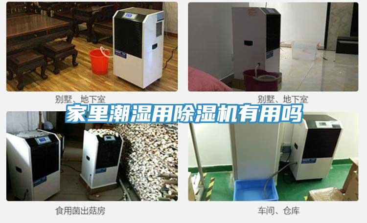 家里潮湿用除湿机有用吗