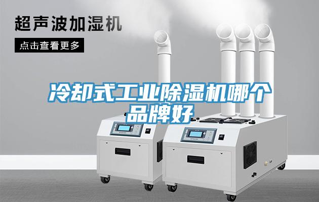 冷却式工业除湿机哪个品牌好