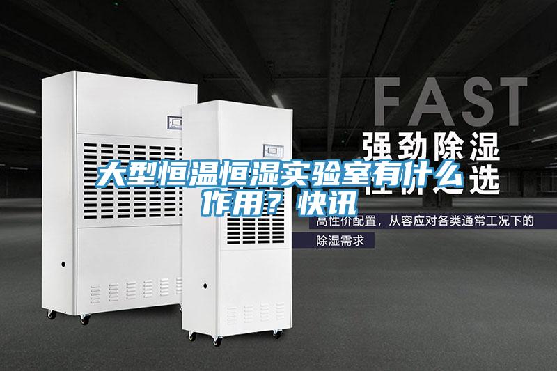 大型恒温恒湿实验室有什么作用？快讯