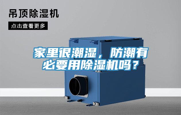 家里很潮湿，防潮有必要用除湿机吗？