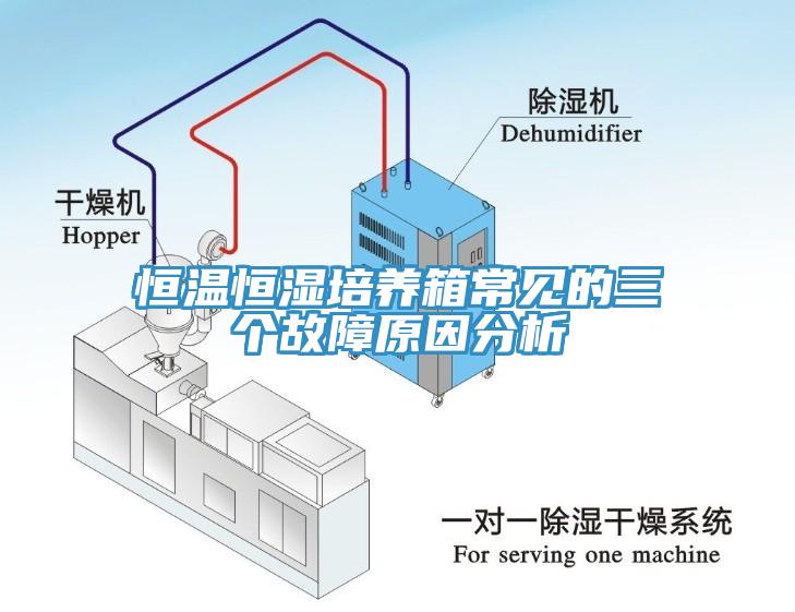恒温恒湿培养箱常见的三个故障原因分析
