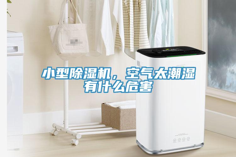 小型除湿机，空气太潮湿有什么危害