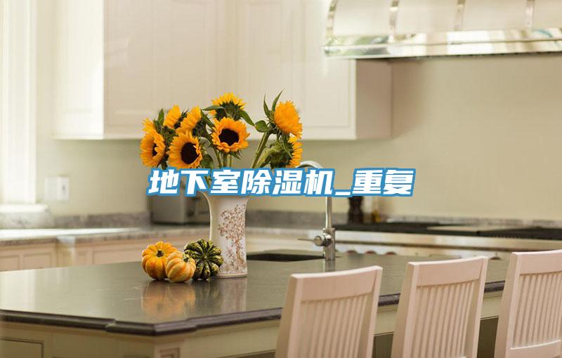 地下室除湿机_重复