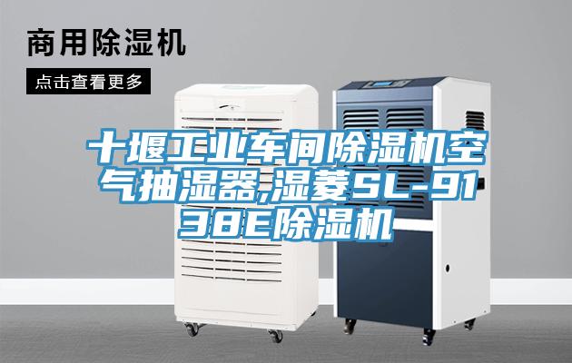 十堰工业车间除湿机空气抽湿器,湿菱SL-9138E除湿机