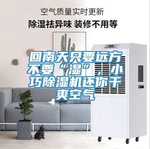 回南天只要远方不要“湿”，小巧除湿机还你干爽空气