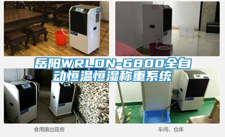 岳阳WRLDN-6800全自动恒温恒湿称重系统