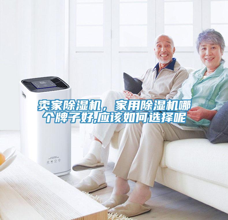 卖家除湿机,家用除湿机哪个牌子好,应该如何选择呢