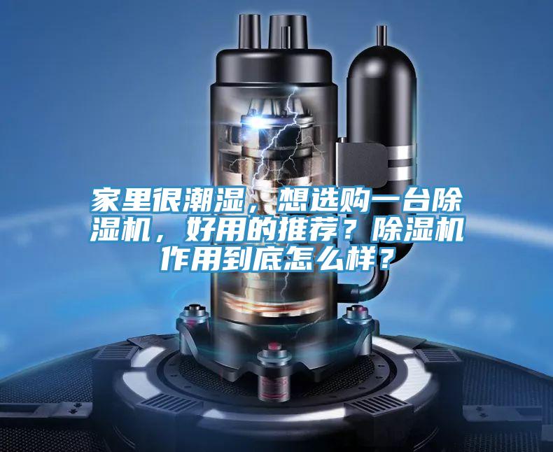 家里很潮湿，想选购一台除湿机，好用的推荐？除湿机作用到底怎么样？