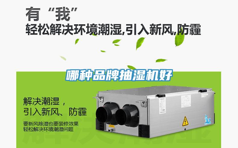 哪种品牌抽湿机好