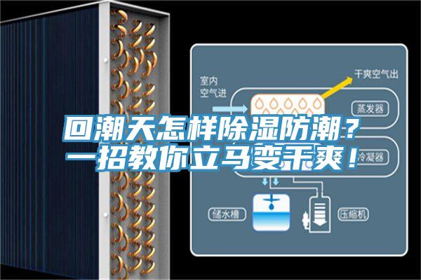 回潮天怎样除湿防潮?一招教你立马变干爽!