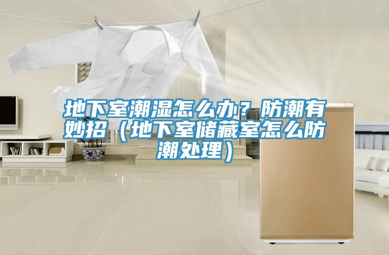 地下室潮湿怎么办？防潮有妙招（地下室储藏室怎么防潮处理）