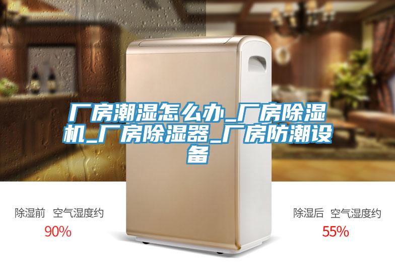 厂房潮湿怎么办_厂房除湿机_厂房除湿器_厂房防潮设备