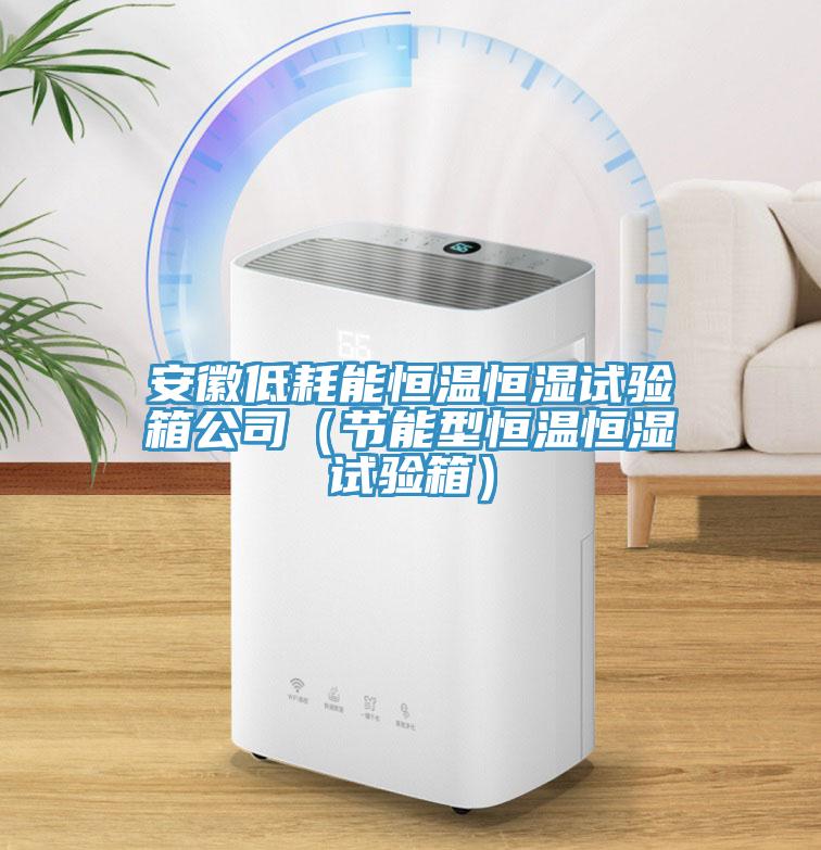 安徽低耗能恒温恒湿试验箱公司（节能型恒温恒湿试验箱）