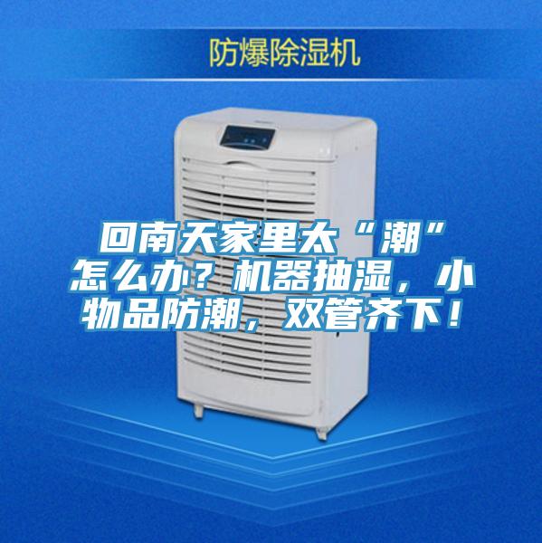 回南天家里太“潮”怎么办？机器抽湿，小物品防潮，双管齐下！
