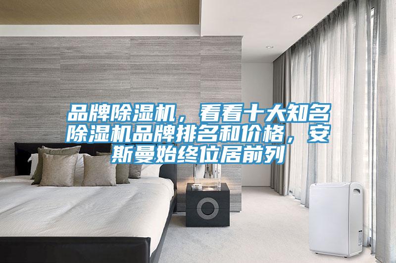 品牌除湿机，看看十大知名除湿机品牌排名和价格，安斯曼始终位居前列