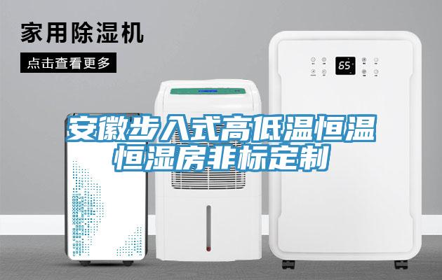 安徽步入式高低温恒温恒湿房非标定制