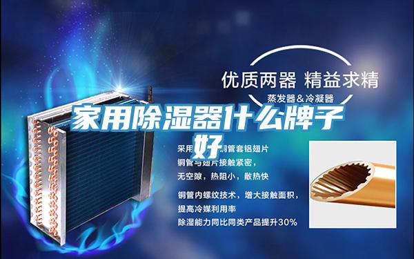 家用除湿器什么牌子好