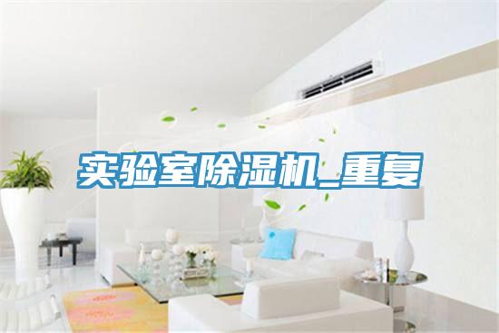 实验室除湿机_重复