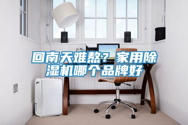 回南天难熬？家用除湿机哪个品牌好