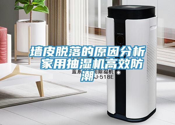 墙皮脱落的原因分析 家用抽湿机高效防潮