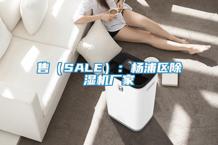 售(SALE):杨浦区除湿机厂家