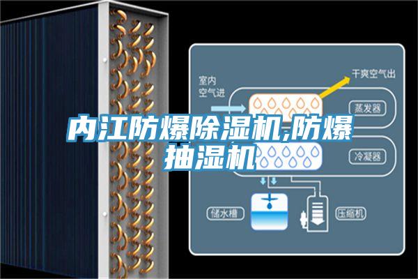 内江防爆除湿机,防爆抽湿机