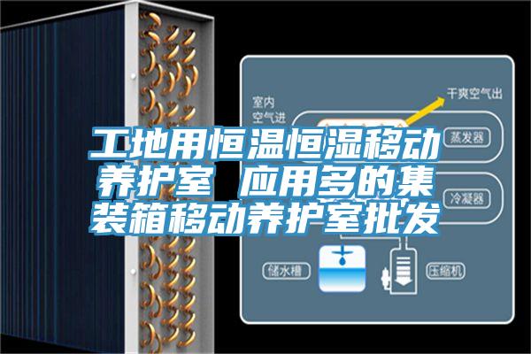 工地用恒温恒湿移动养护室 应用多的集装箱移动养护室批发